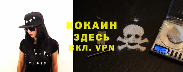 твердый Балахна