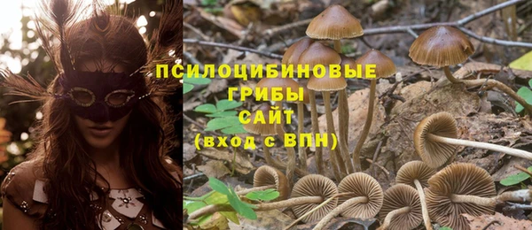 ПСИЛОЦИБИНОВЫЕ ГРИБЫ Баксан