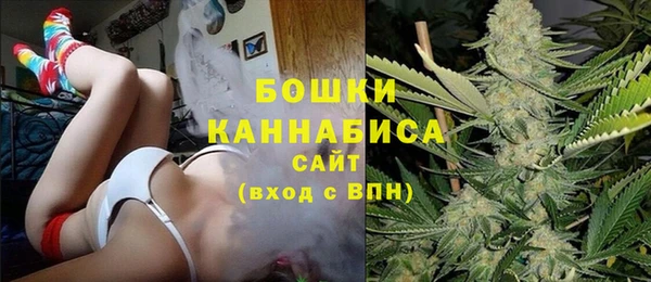 ПСИЛОЦИБИНОВЫЕ ГРИБЫ Баксан