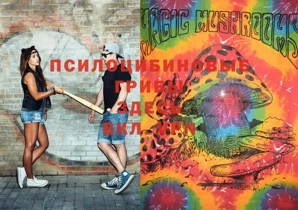 ПСИЛОЦИБИНОВЫЕ ГРИБЫ Баксан