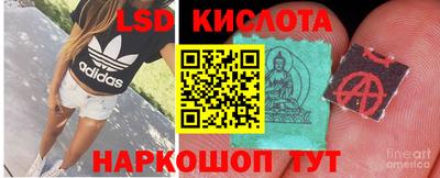 крисы Тулун