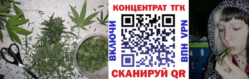ТГК Wax  Рыбинск 