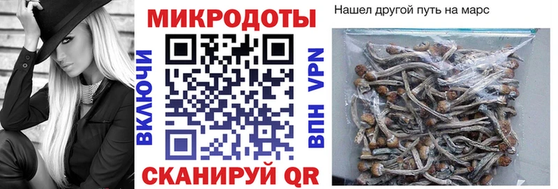 Псилоцибиновые грибы ЛСД Рыбинск