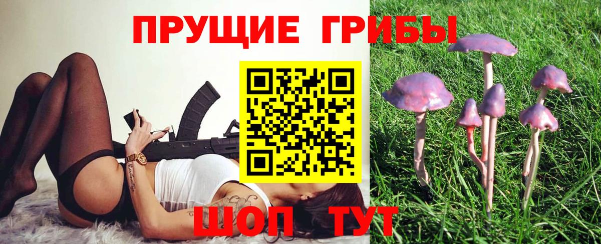 Рыбинск  Галлюциногенные грибы Cubensis  Вход с VPN 